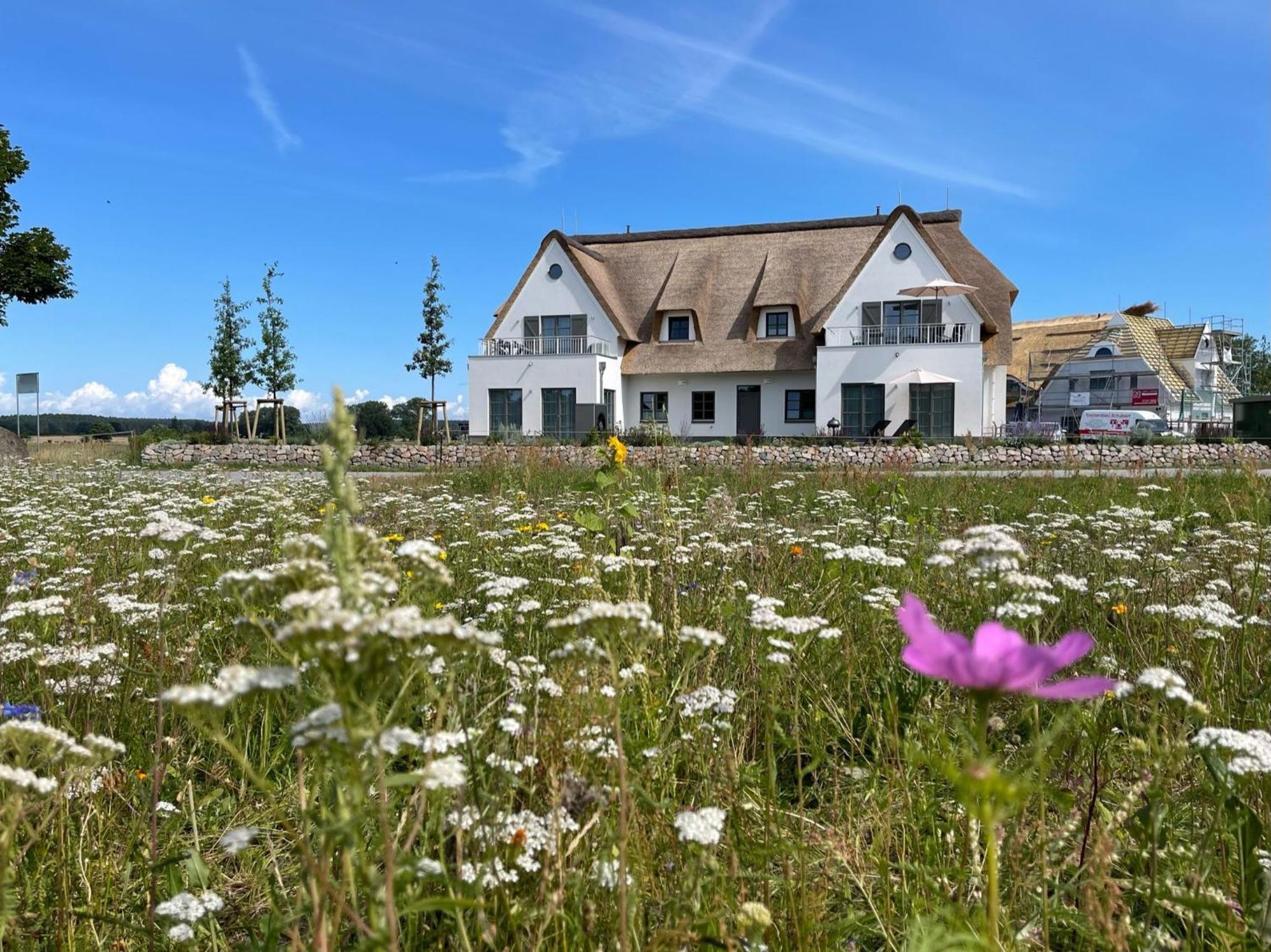 Inseldomizil Stolpe - Urlaub Unter Reet Auf Usedom Stolpe auf Usedom Exterior foto